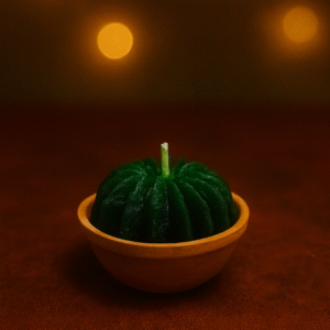 🌵 Green Cactus Candle – Rustic Charm in Terracotta